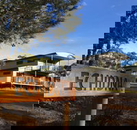 Echidna on Bruny - Holiday Adelaide