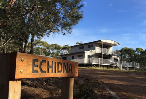 Echidna On Bruny - Holiday Adelaide 0