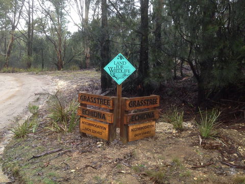 Echidna On Bruny - Holiday Adelaide 1