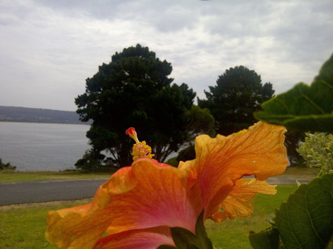 Eden Oceanview - Holiday Adelaide 1