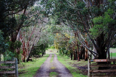 Galwiji Homestead - Holiday Adelaide 1