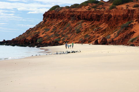 Herald Bight Camp At Francois Peron National Park - Holiday Adelaide 0