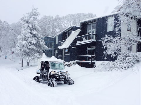 Kilimanjaro Alpine Apartments - Holiday Adelaide 2