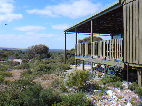 Melaleuca - Eco And Pet Friendly,  Harbor Point Cabins - Holiday Adelaide 1