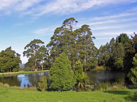 Newry Park Cottage - Holiday Adelaide 1