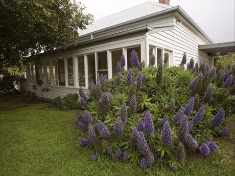 The Lonsdale Palms - Holiday Adelaide 1