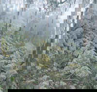 Waratah Gully campground - Holiday Adelaide