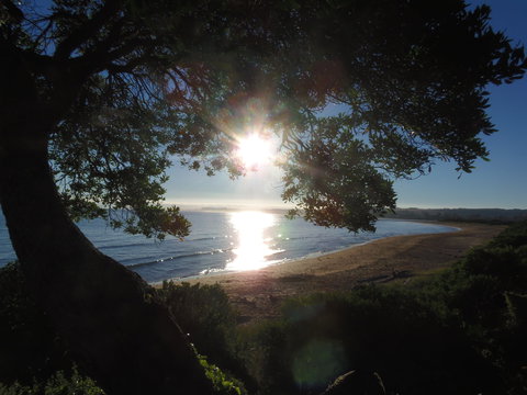 Apex Beachside Holiday Park - Holiday Adelaide 1