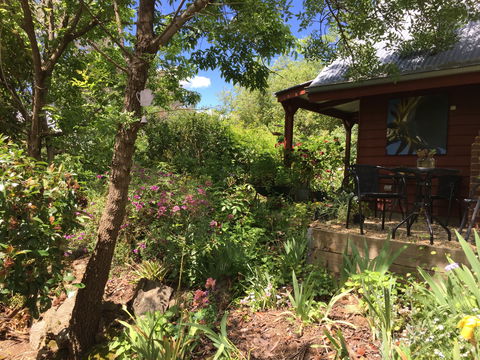 Artscape Cottage Beechworth - Holiday Adelaide 2