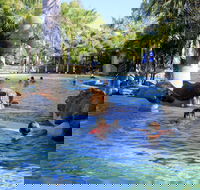 Big4 Aussie Outback Oasis Holiday Park - Holiday Adelaide