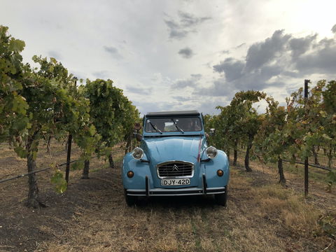 Birches Bed And Breakfast Mudgee - Holiday Adelaide 2