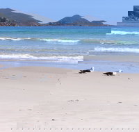 Eagles Rise Tasmania - Holiday Adelaide