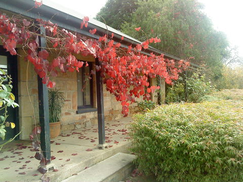 Ethel's Cottage - Holiday Adelaide 0