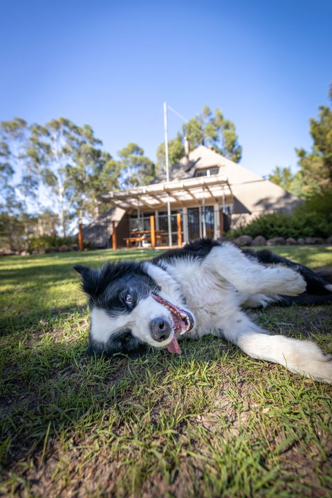 Grampians Getaway - Holiday Adelaide 0