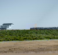 Hounds Run Vineyard - Holiday Adelaide