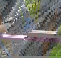 Kookaburra Dreaming - Holiday Adelaide