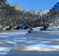 Mt Stirling Alpine Winter Camp - Holiday Adelaide