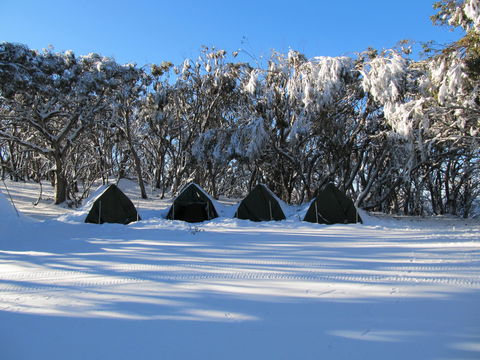Mt Stirling Alpine Winter Camp - Holiday Adelaide 1