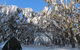 Mt Stirling Alpine Winter Camp - thumb 2