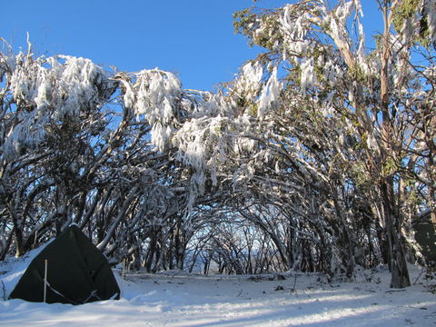 Mt Stirling Alpine Winter Camp - Holiday Adelaide 2