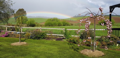 Platypus Cottage - Holiday Adelaide 0