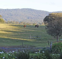 Wallaby Cottage - Holiday Adelaide