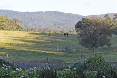 Wallaby Cottage - Holiday Adelaide 0