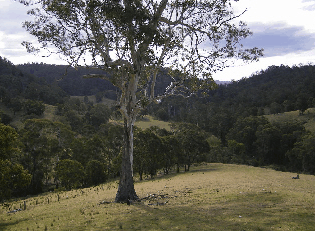 Yasuragi Cabins - Holiday Adelaide 1
