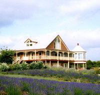 Serendipity Lavender Farm - Holiday Adelaide