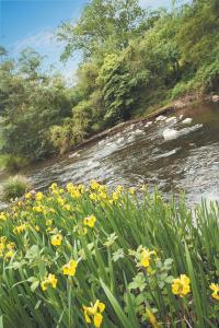 Grange Yarra Valley - Holiday Adelaide 4