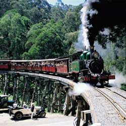 Yuulong Bed And Breakfast - Holiday Adelaide 5