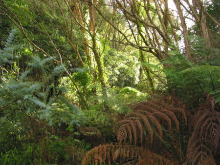 Deja Vu Lakes Entrance B And B - Holiday Adelaide 2