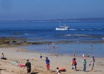 QueenscliffeTourist Park - Holiday Adelaide 0