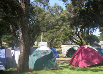 QueenscliffeTourist Park - Holiday Adelaide 2