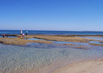 QueenscliffeTourist Park - Holiday Adelaide 3