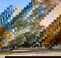 Omeo Caravan Park - Holiday Adelaide