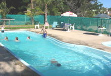 Lakes Entrance Tourist Park - Holiday Adelaide 4
