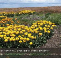 Alpine View Apartments - Holiday Adelaide