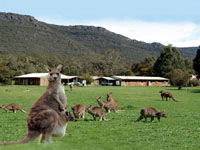 Halls Gap Log Cabins - Holiday Adelaide 2