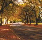 La Trobe at Beechworth - Holiday Adelaide