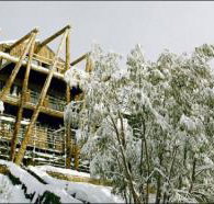 Silverski - Holiday Adelaide