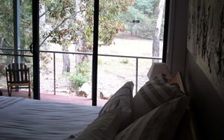 Glengarriff Town Houses - Holiday Adelaide 0