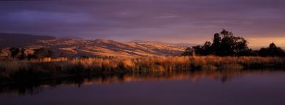 Wombat Hills Cottages - Holiday Adelaide 3