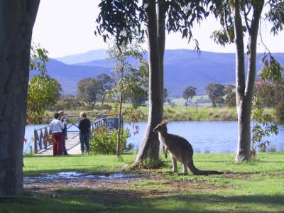 Wombat Hills Cottages - Holiday Adelaide 4