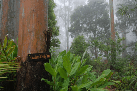 Witches Falls Cottages - Holiday Adelaide 2