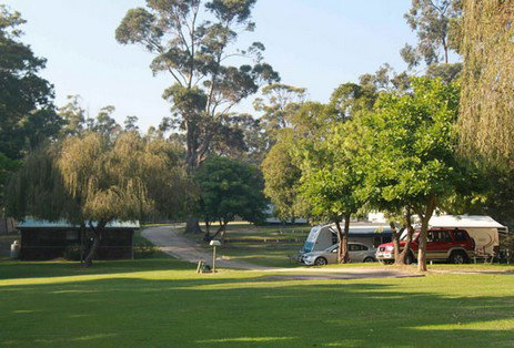A Wangralea Caravan Park - Holiday Adelaide 3