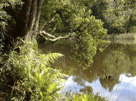 Weldborough Hotel - Holiday Adelaide