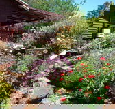 Chestnut Brook Cottage - Holiday Adelaide