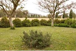 Claremont Cottage - Holiday Adelaide 2