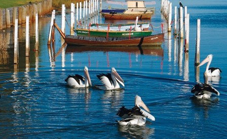 Windang Beach Tourist Park - Holiday Adelaide 4